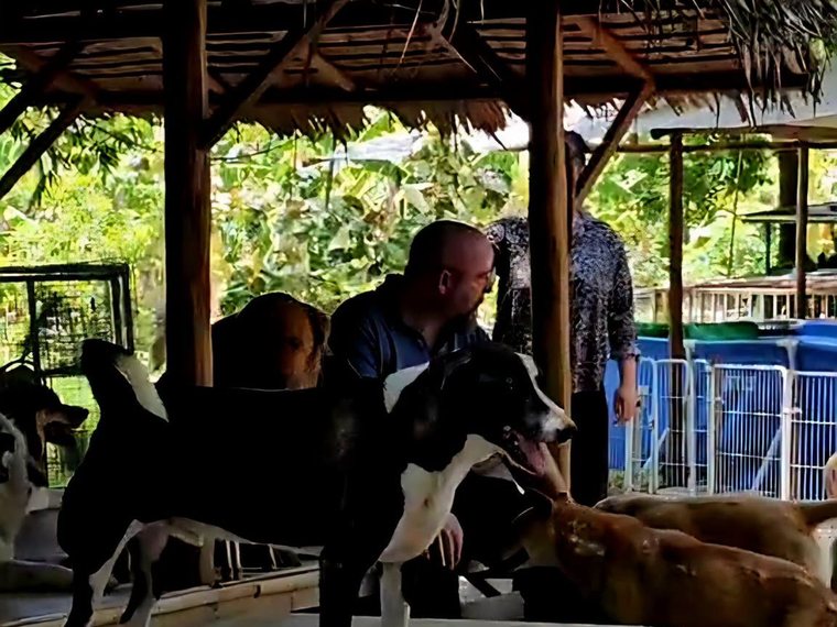 Sean Donahoe at one of the three Thai animal shelters he sponsors